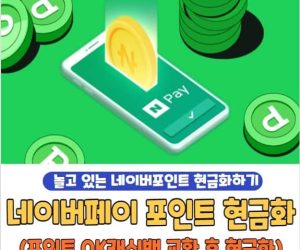 네이버페이 포인트 현금화 방법 및 충전, 전환, 인출, 사용처 총정리
