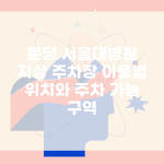 분당 서울대병원 지상 주차장 이용법 | 위치와 주차 가능 구역