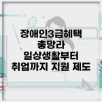 장애인3급혜택 총망라 | 일상생활부터 취업까지 지원 제도