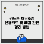 카드론 채무조정 신용카드 채무 정리 해결 방법