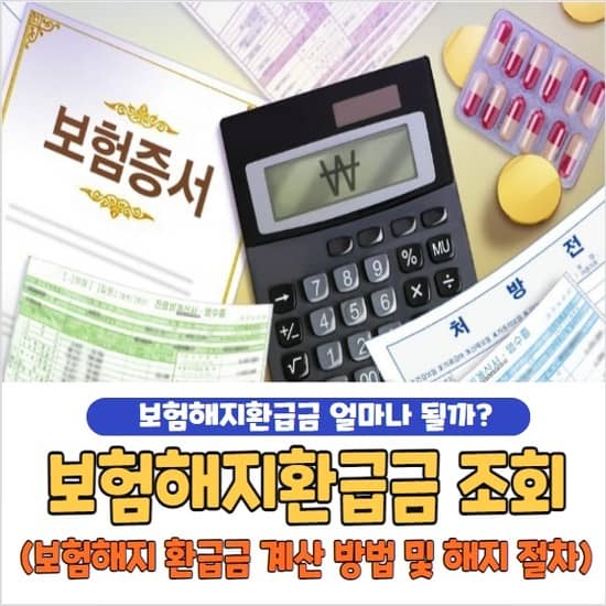 보험 해지환급금 조회 방법 및 계산 방법, 해지 절차