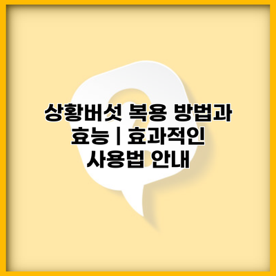 상황버섯 복용 방법과 효능 | 효과적인 사용법 안내